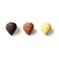 Coffret 9 Huîtres du Bassin
